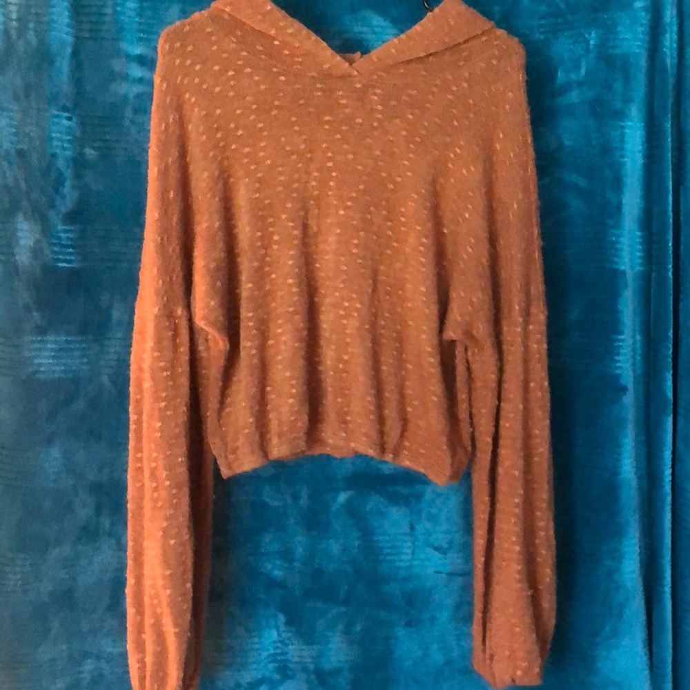 Rust Orange Hooded Cropped Sweater